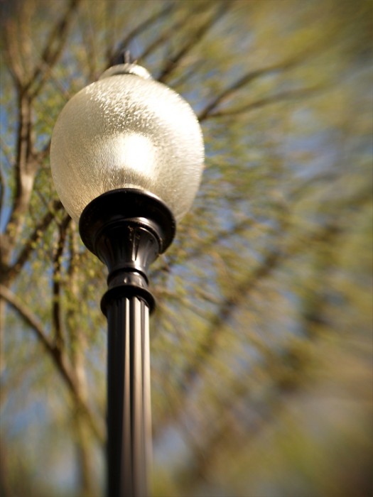 Lamp